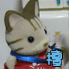 ねこみや　まゆみ